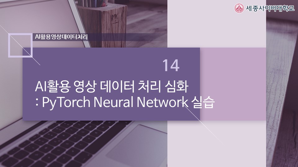 AI활용 영상 데이터 처리 심화(2)   - PyTorch Neural Network 실습